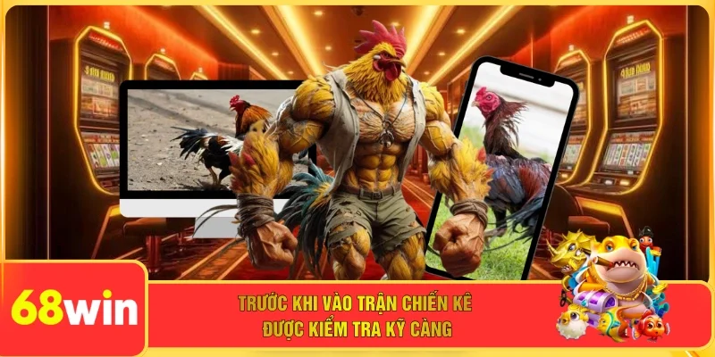 Trước khi vào trận chiến kê được kiểm tra kỹ càng
